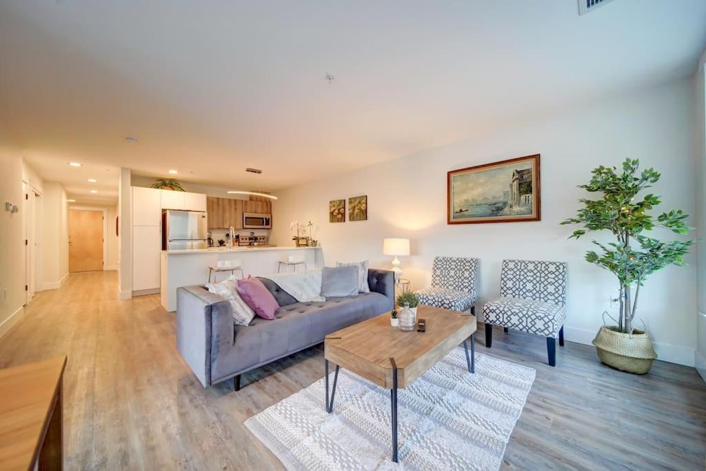 Luxurious Modern 2Br Condo Sleeps 5 Coffee, Ac, Wifi Halifax Eksteriør billede